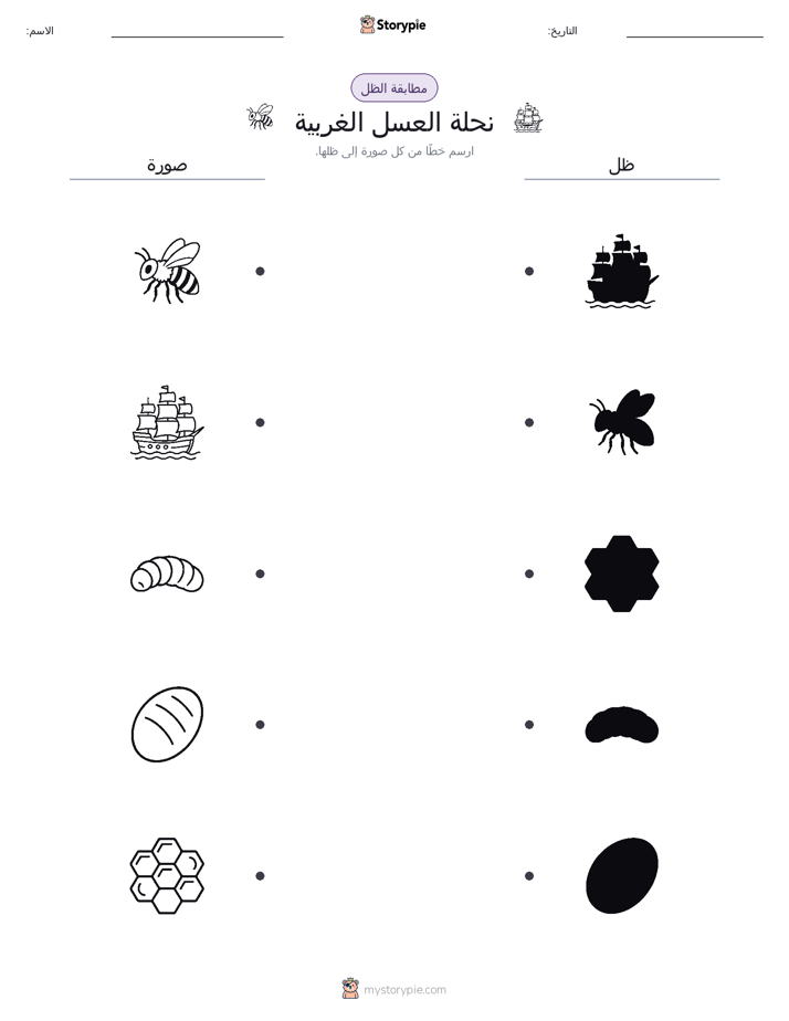 مطابقة الظل