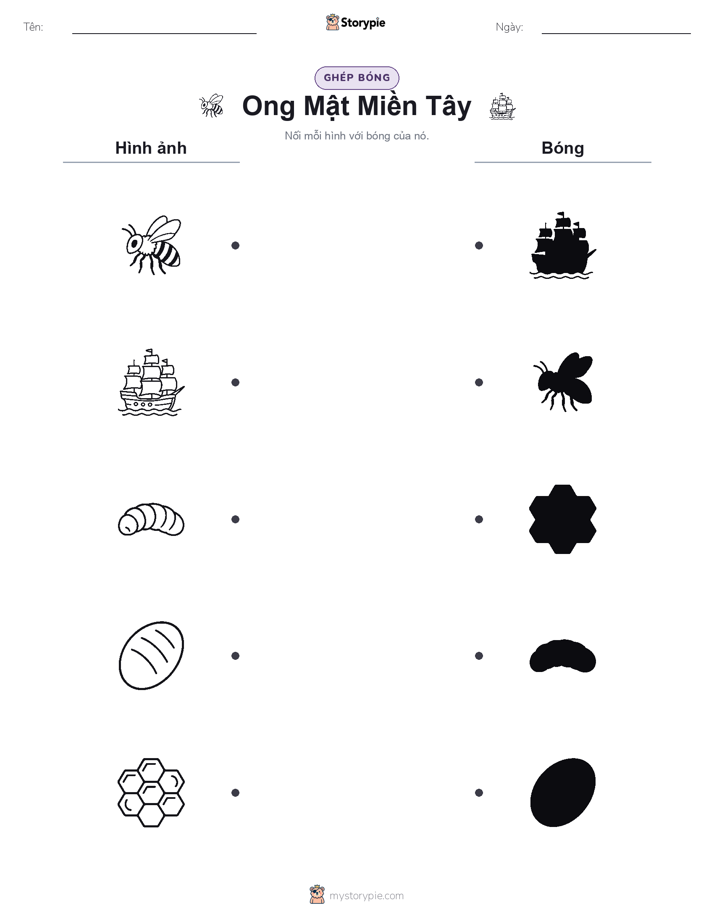 Ghép Hình Bóng