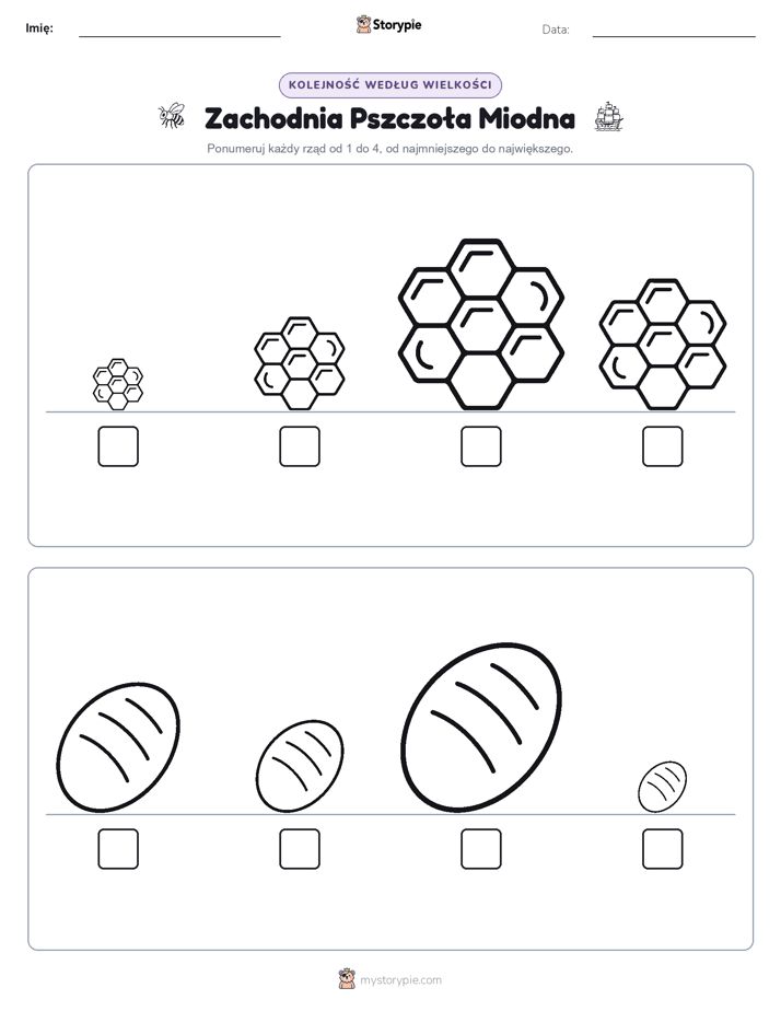 Porządek rozmiarów
