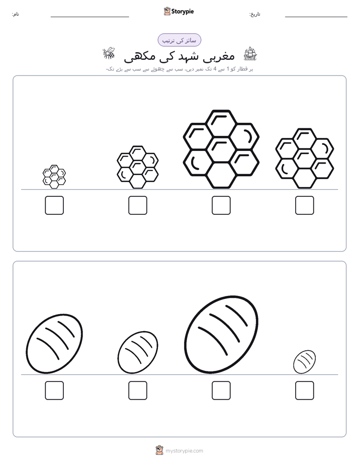 سائز کی ترتیب