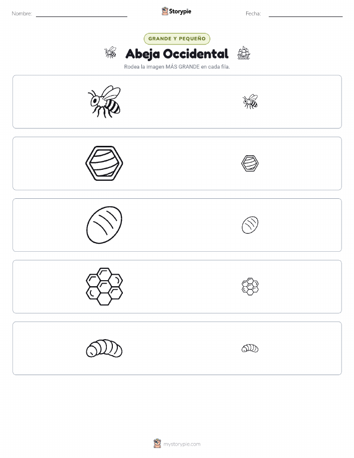 Clasificación