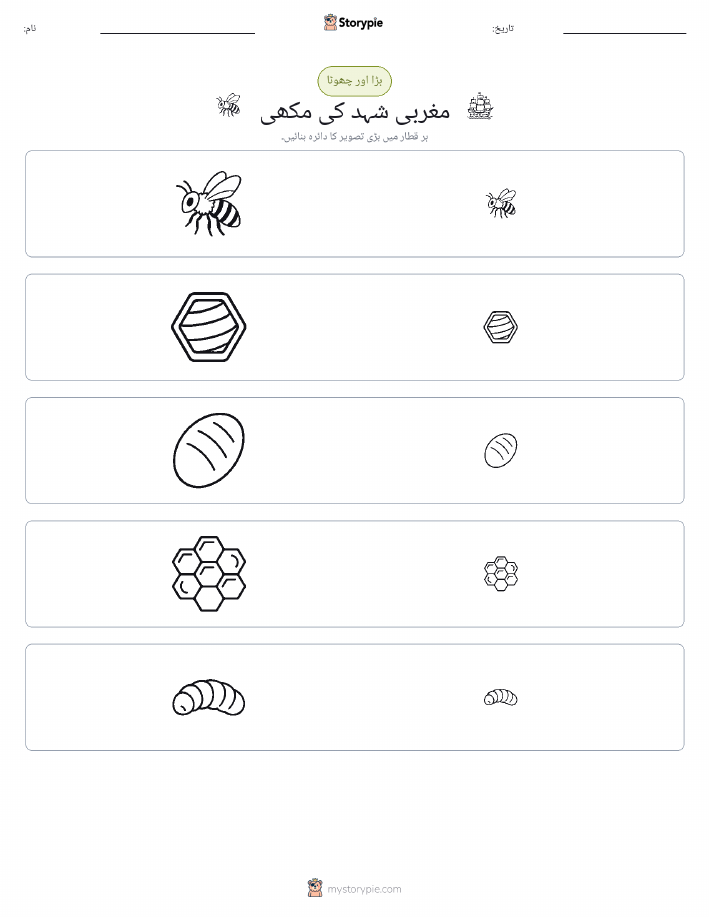 ترتیب دینا