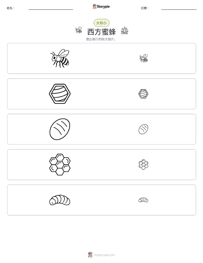分类
