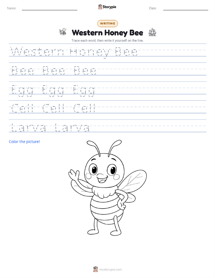 Writing Practice