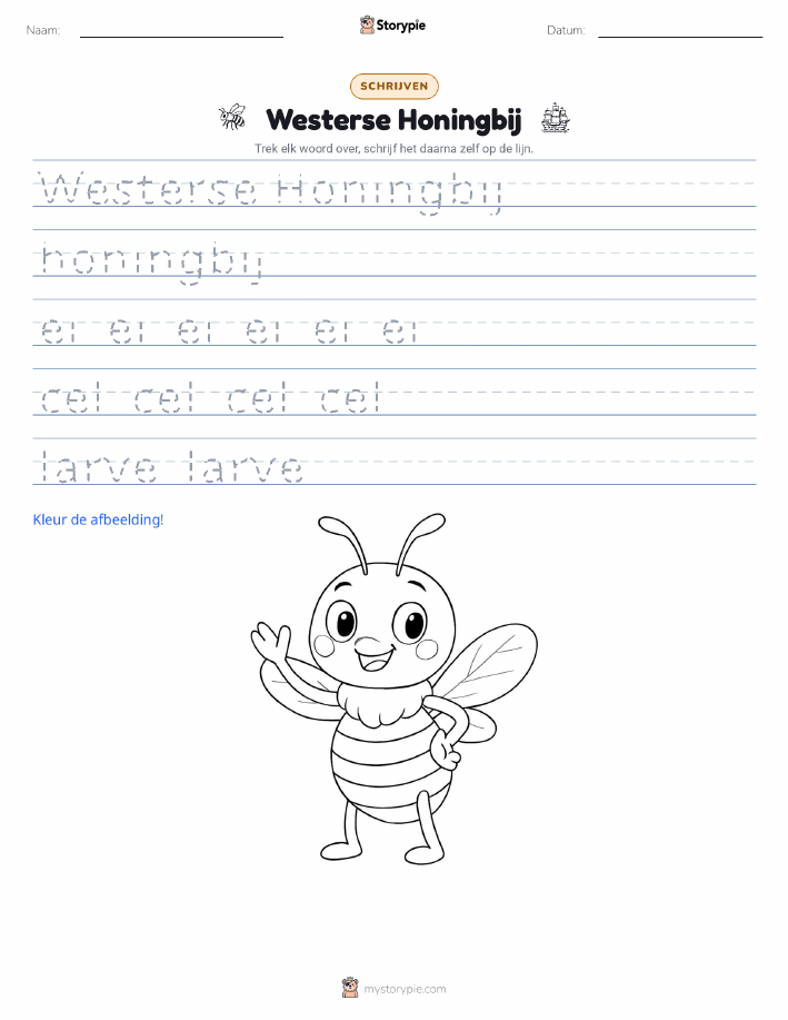 Schrijf Oefening