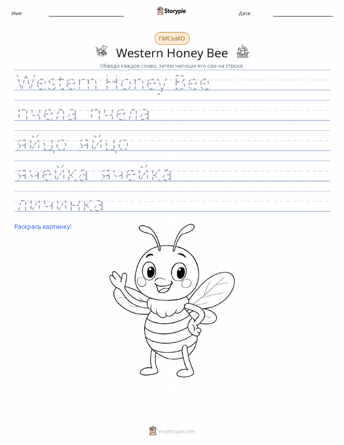 Практика письма