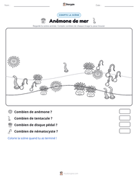 Aperçu de la feuille de travail imprimable Anémone de mer