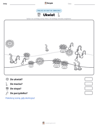 Podgląd drukowalnego arkusza ćwiczeń Ukwiał