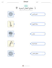 معاينة ورقة العمل القابلة للطباعة شقائق النعمان البحرية