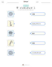 イソギンチャク の印刷可能ワークシートプレビュー