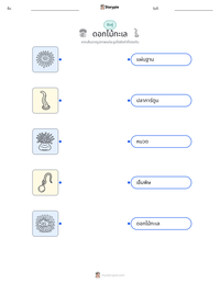 ดอกไม้ทะเล ตัวอย่างแบบฝึกหัดที่พิมพ์ได้