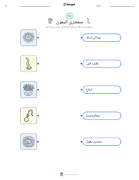 سمندری انیمون پرنٹ کرنے کے قابل ورکشیٹ کا پیش نظارہ
