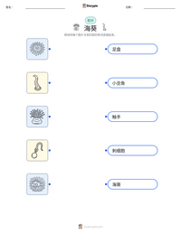 海葵 可打印工作表预览