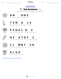 Sea Anemone printable worksheet preview