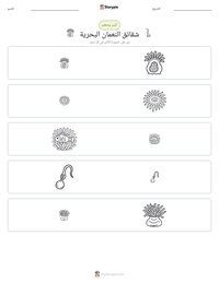 معاينة ورقة العمل القابلة للطباعة شقائق النعمان البحرية