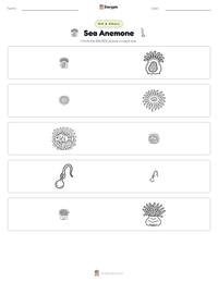 Sea Anemone printable worksheet preview