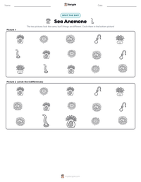 Sea Anemone printable worksheet preview