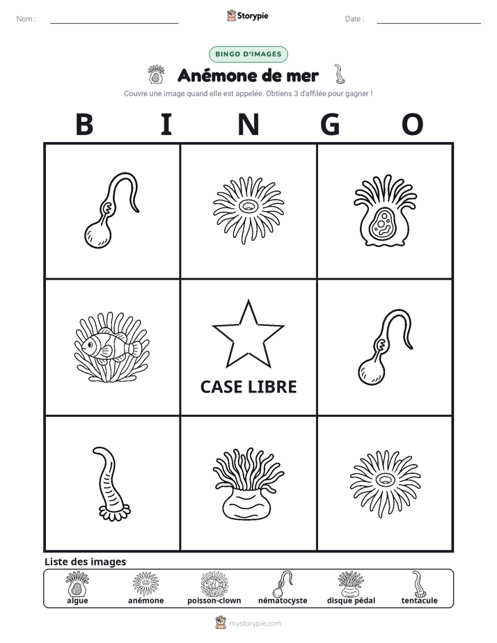 Bingo d'Images