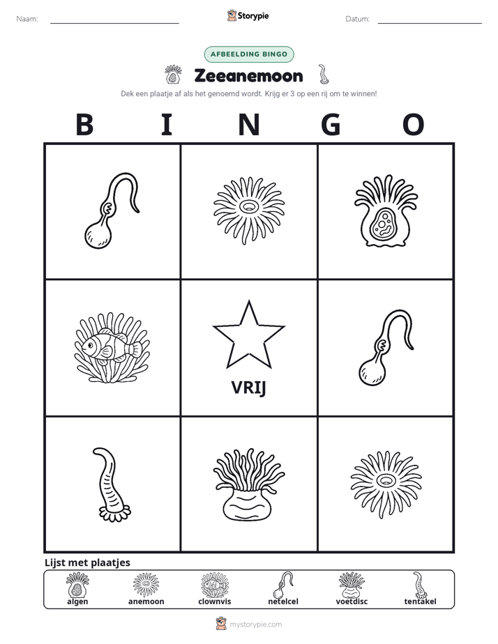 Afbeelding Bingo