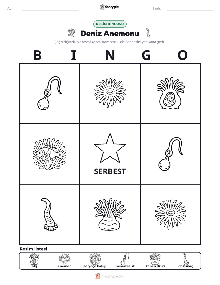 Resim Bingo