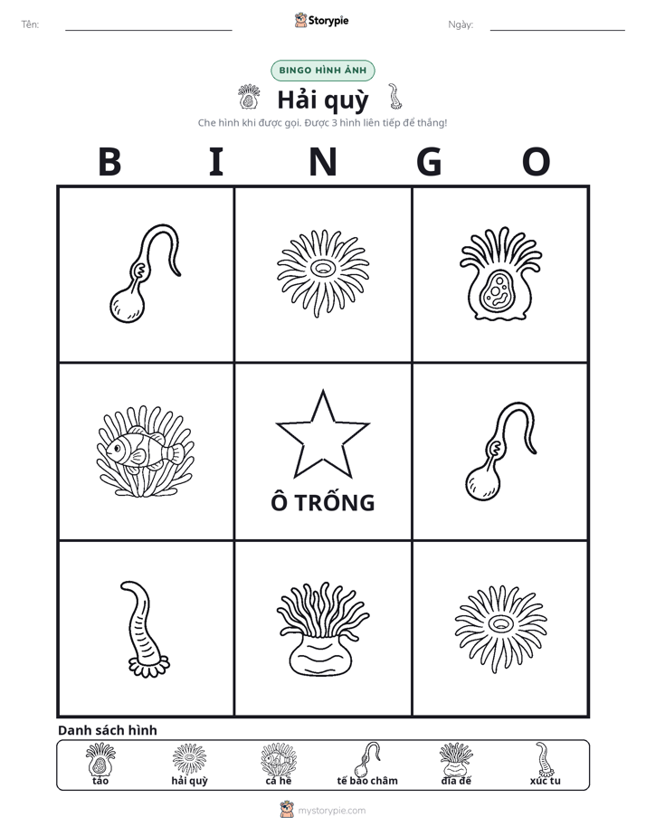 Bingo Hình Ảnh