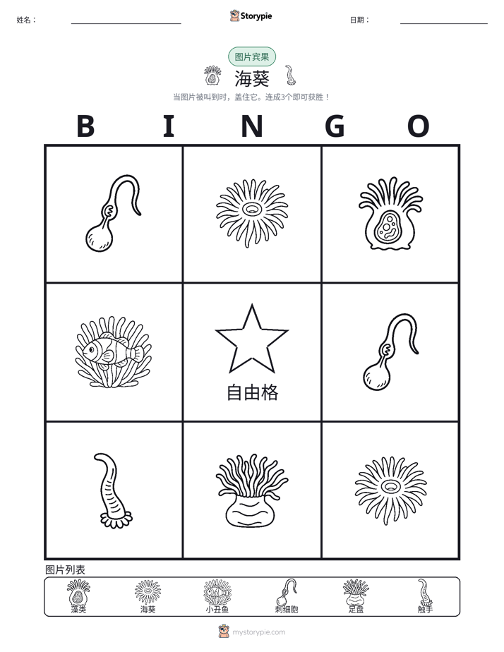 图片宾果