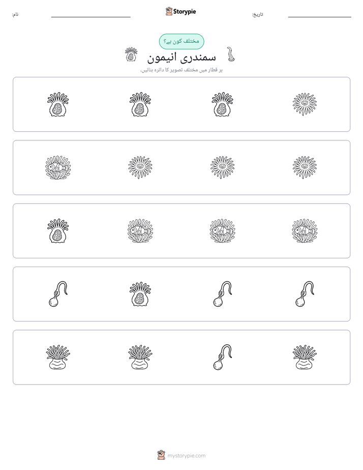 عجیب ایک