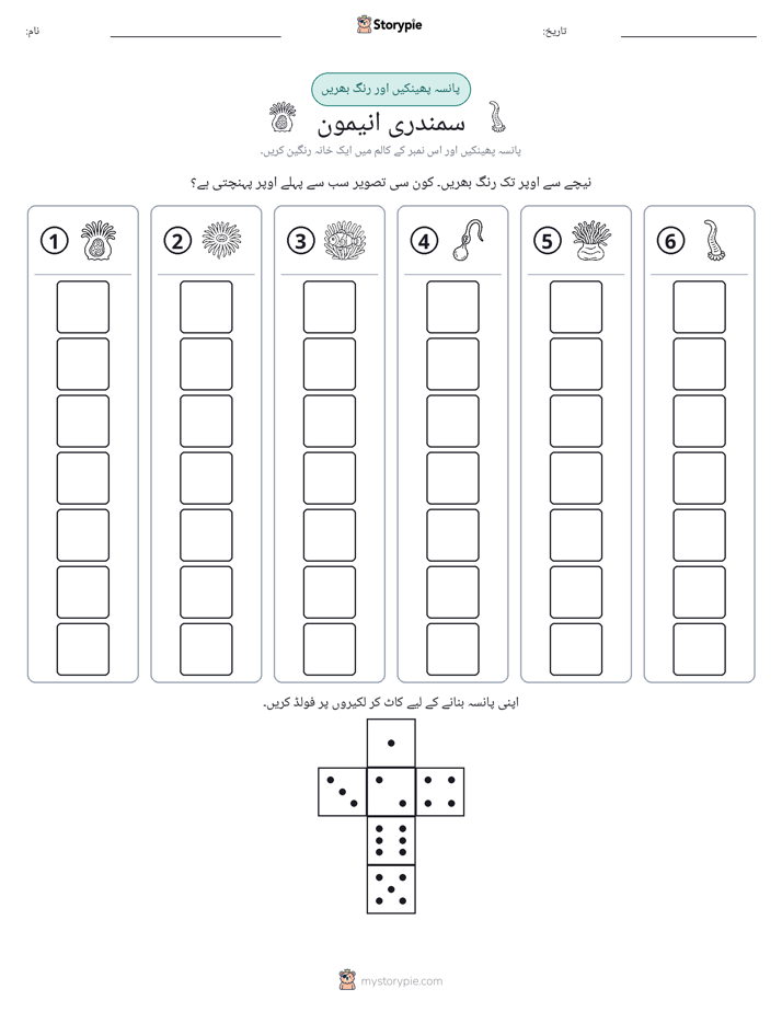 رول اور رنگ