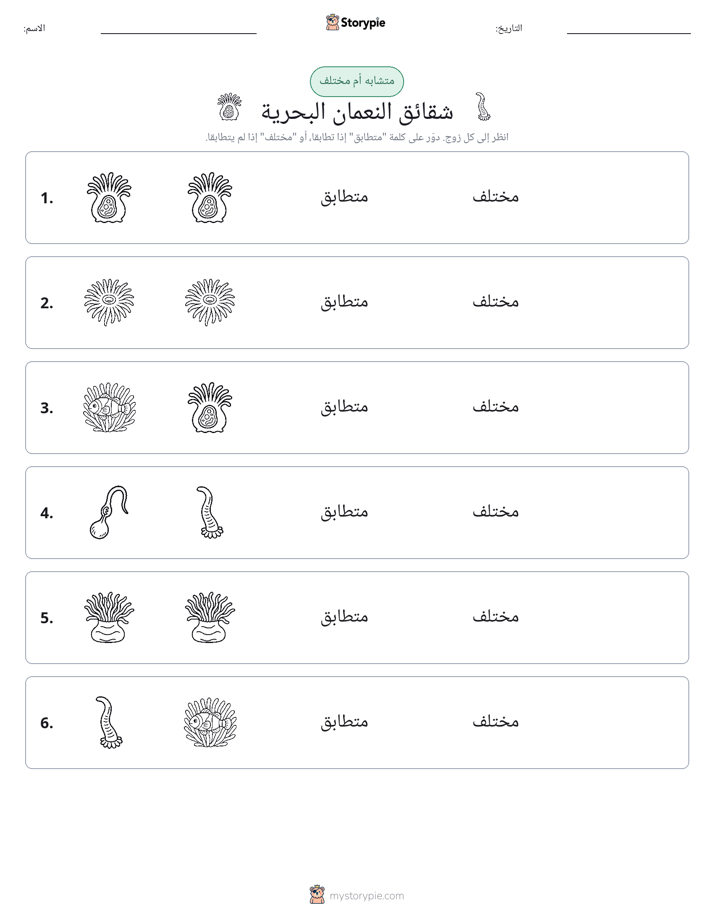 نفس أو مختلف