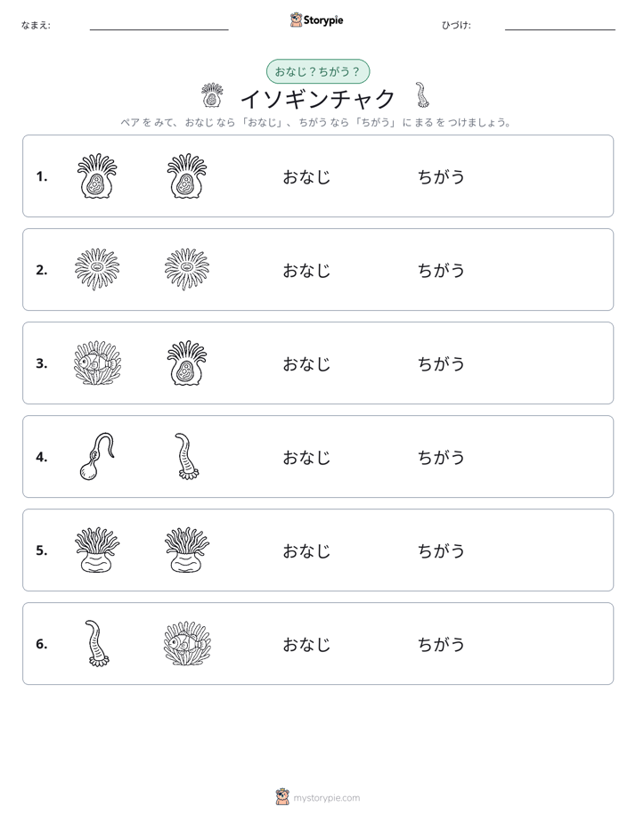 同じか違うか
