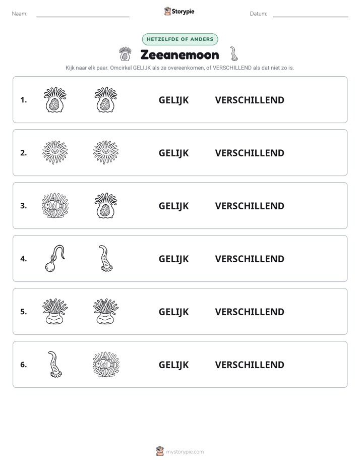 Zelfde of Verschillend