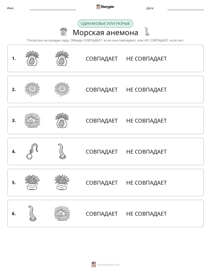 Одинаковое или разное