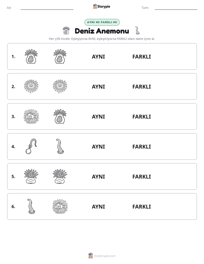 Aynı mı Farklı mı