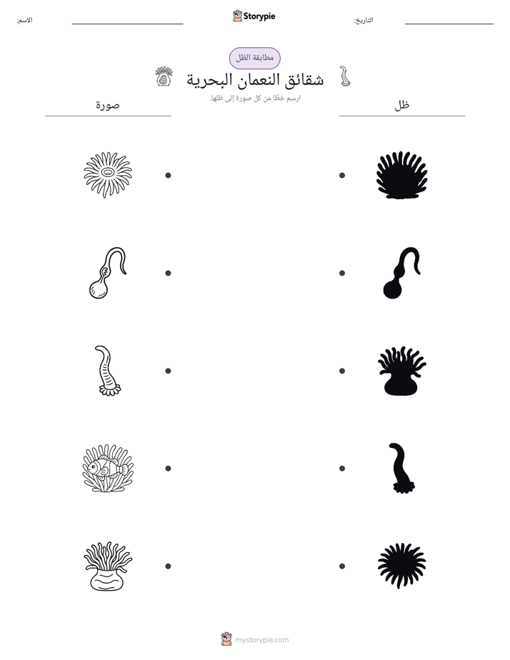 مطابقة الظل