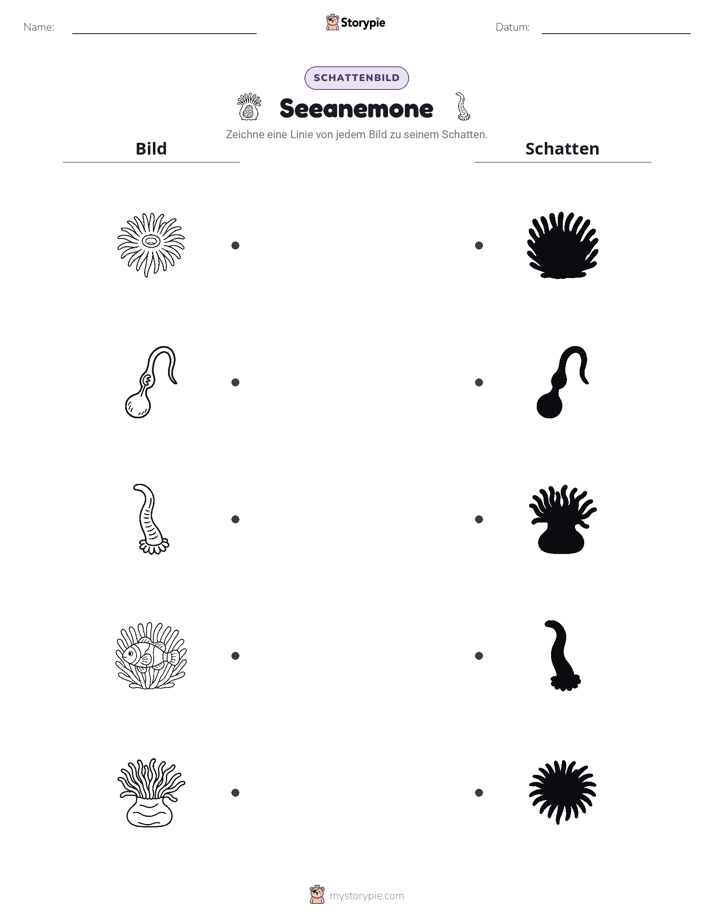 Schattenmatch