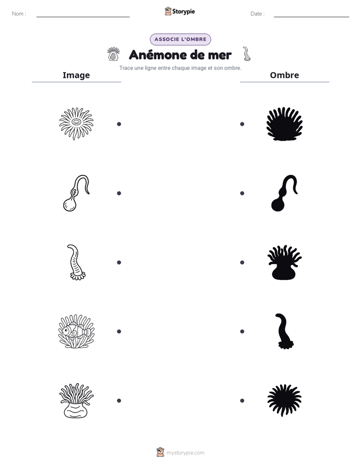 Correspondance d'Ombres