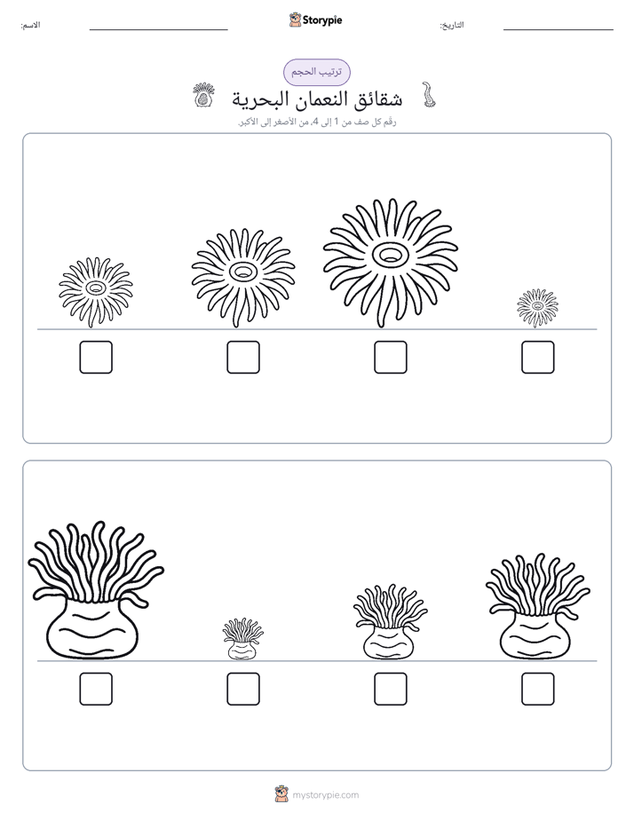 ترتيب الحجم