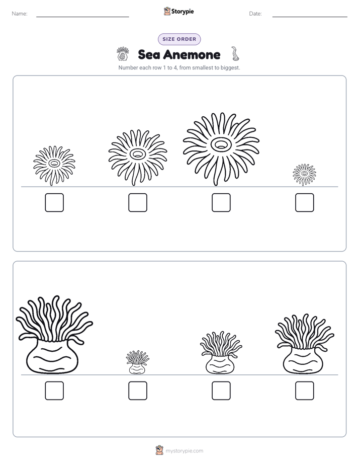 Size Order