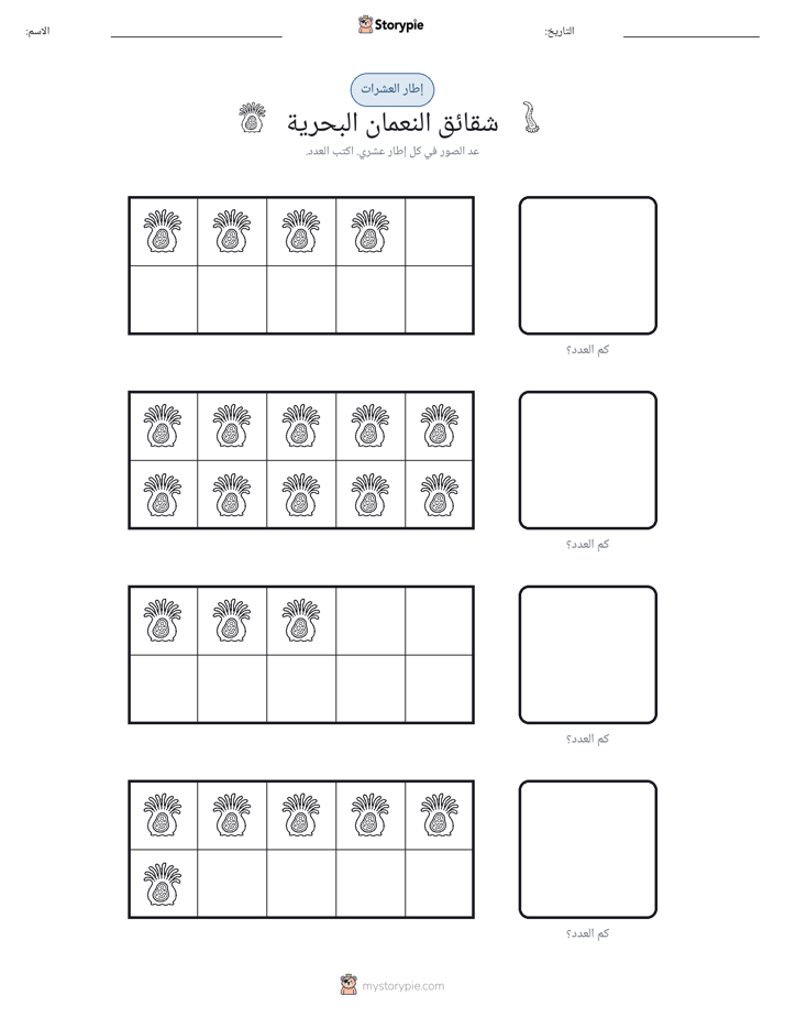 إطار العشرة