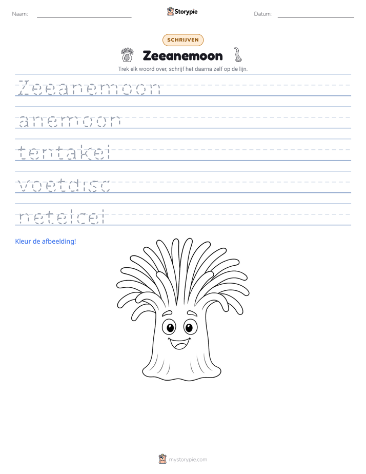 Schrijf Oefening