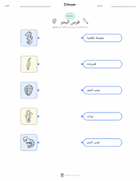 ورقة عمل قابلة للطباعة فرس البحر الأصفر للأطفال