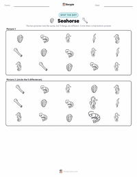 Seahorse printable worksheet preview