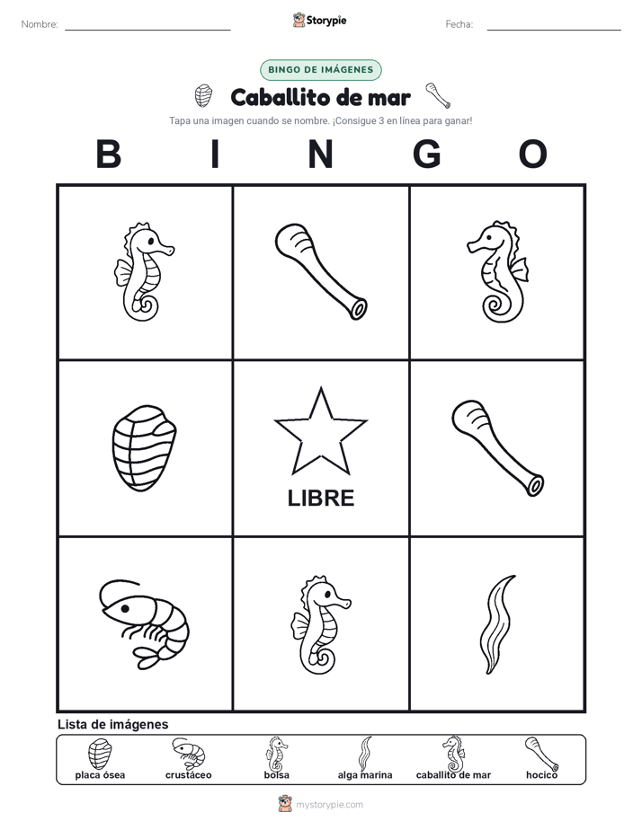 Bingo de Imágenes
