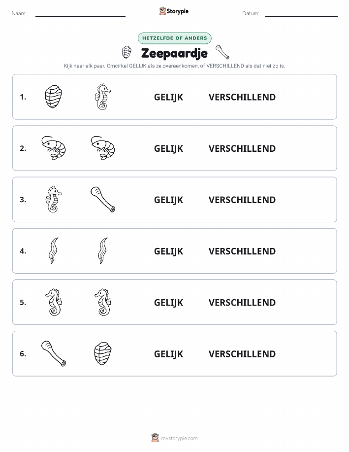 Zelfde of Verschillend