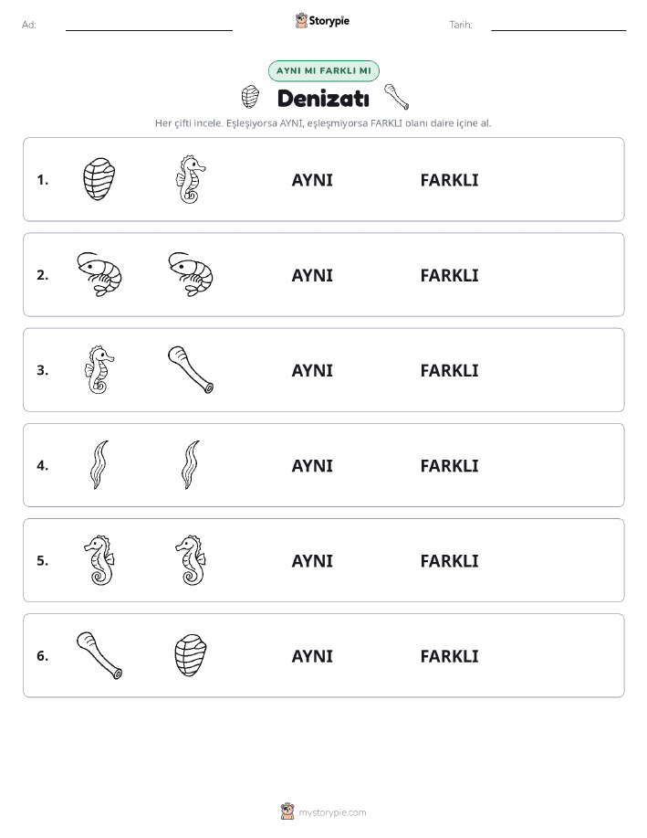 Aynı mı Farklı mı