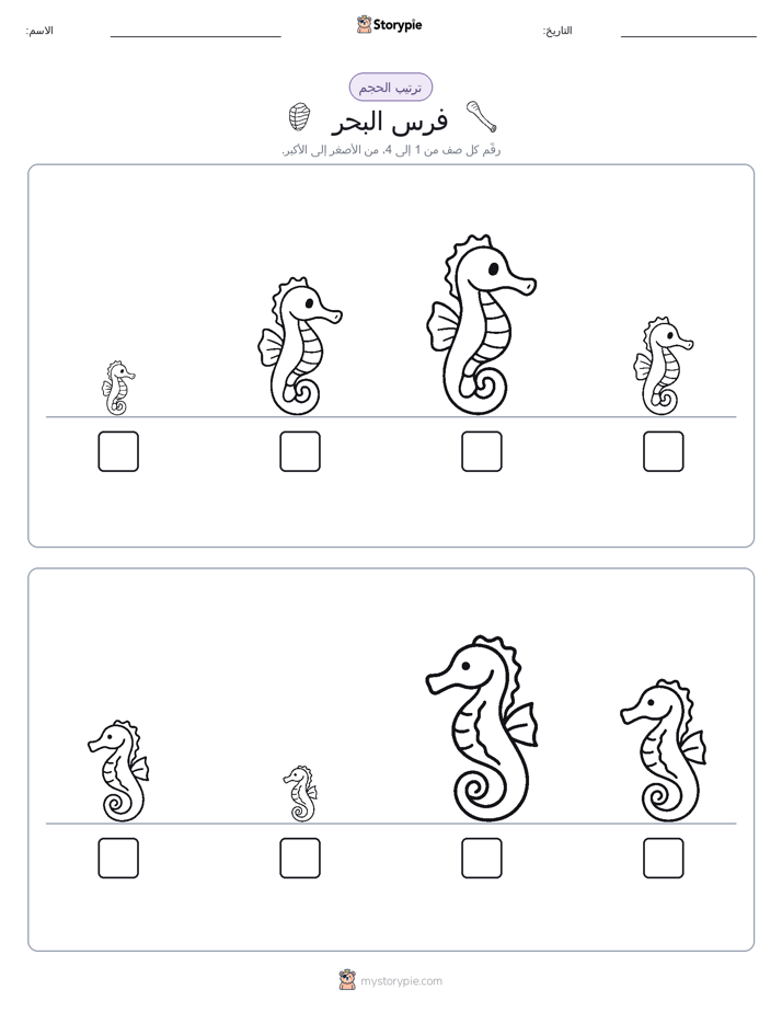 ترتيب الحجم