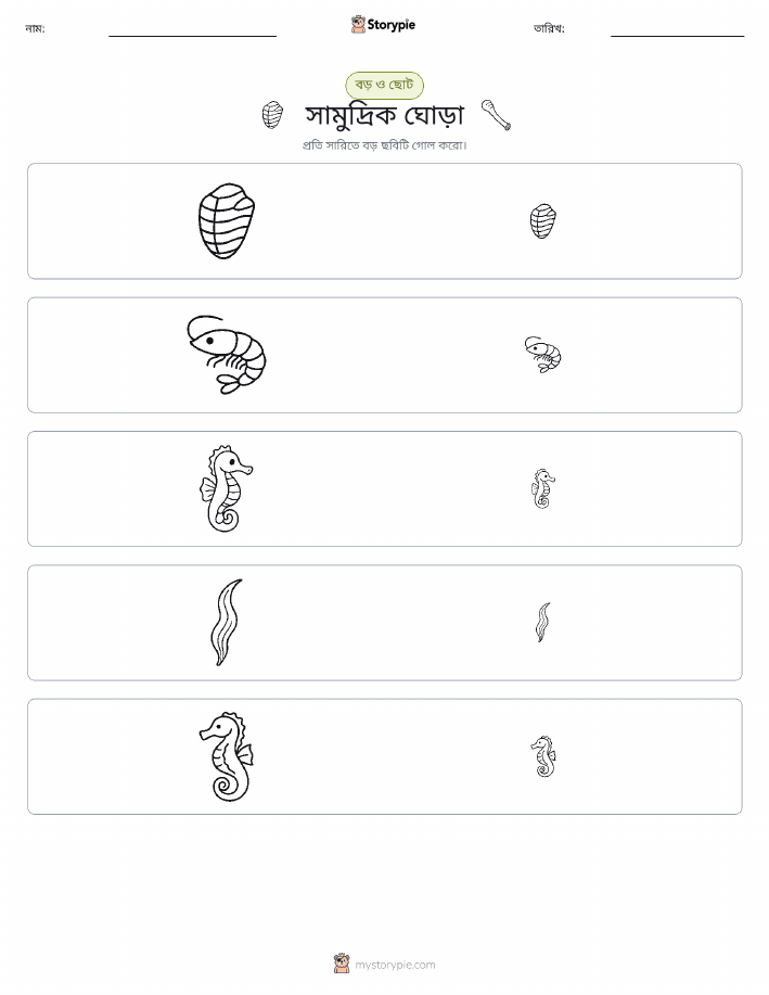 সাজানো