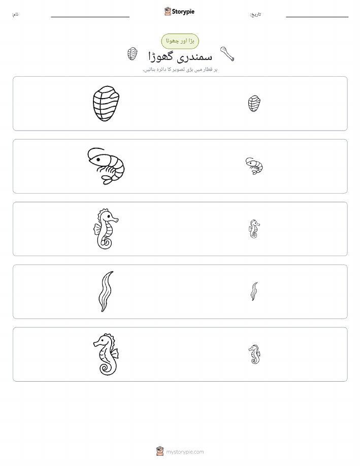 ترتیب دینا