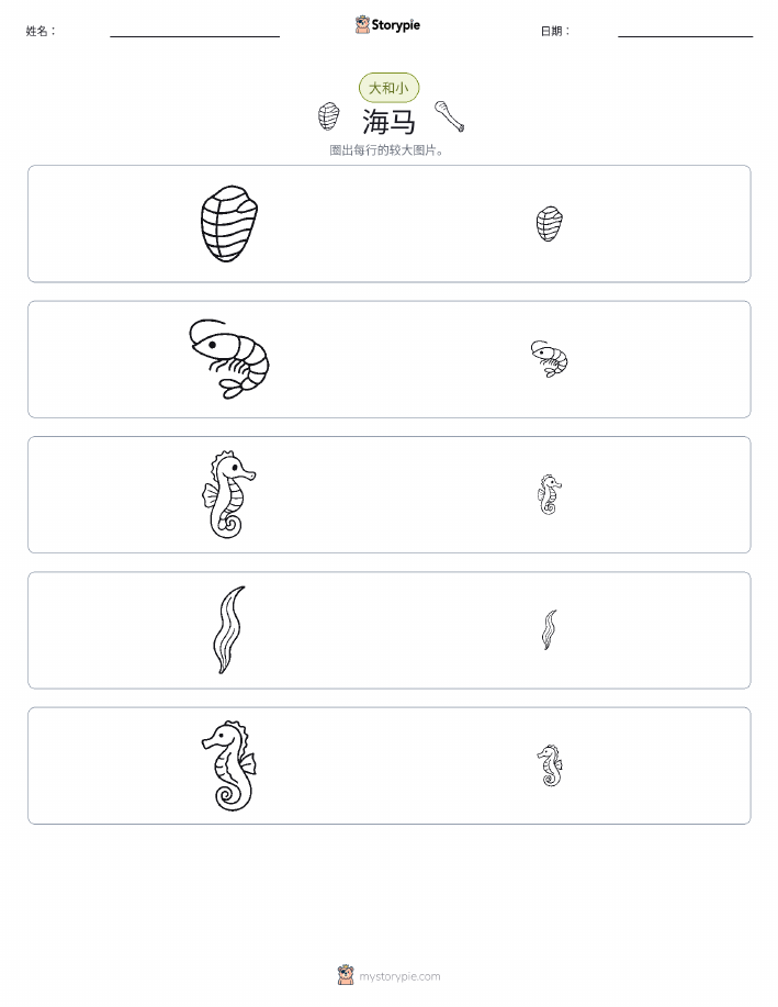分类
