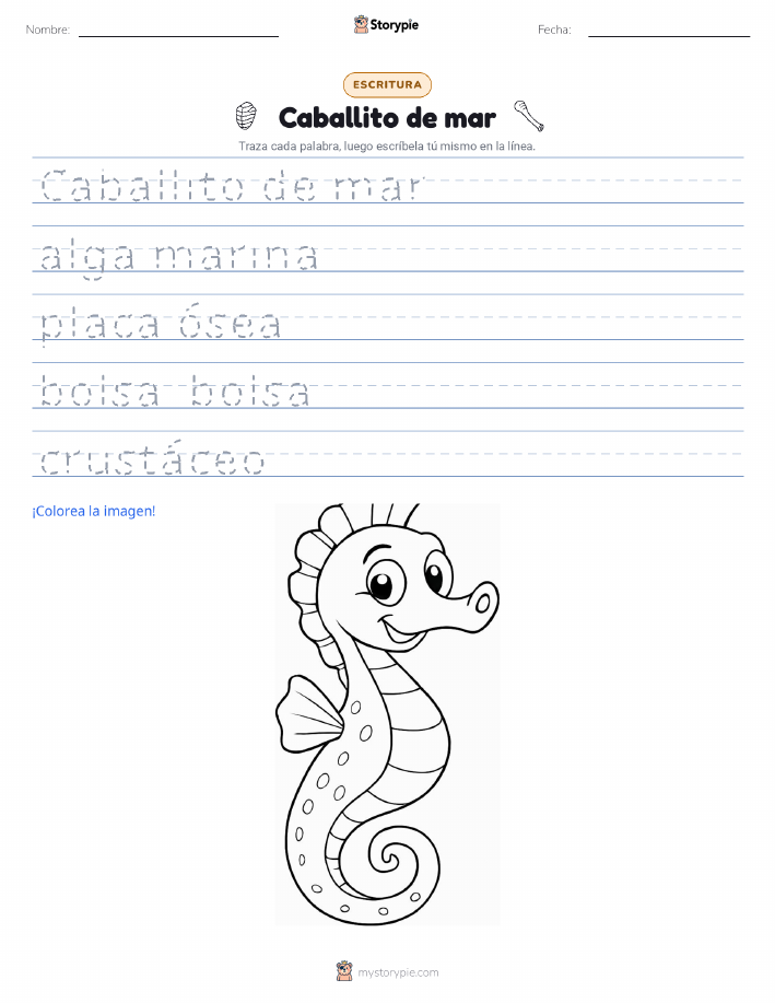 Práctica de Escritura